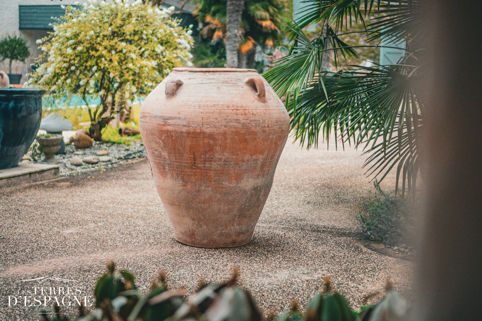 Grande jarre ancienne dans un jardin