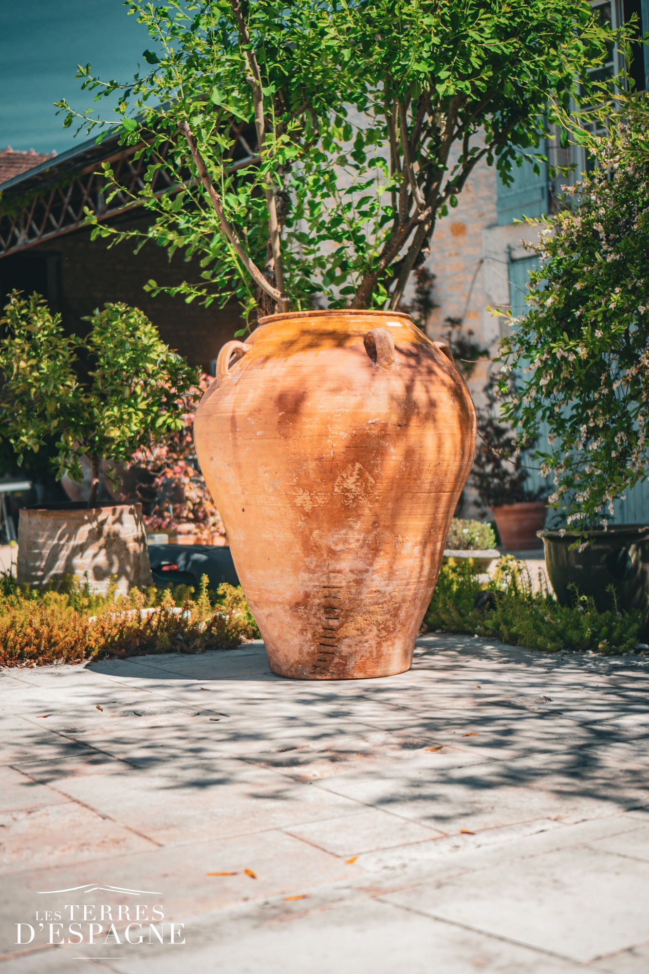 Grandes Jarres en Terre Cuite Anciennes 112cm x 85cm - Les Terres d'Espagne (46) Grandes Jarres en Terre Cuite Anciennes 112cm x 85cm - Les Terres d'Espagne