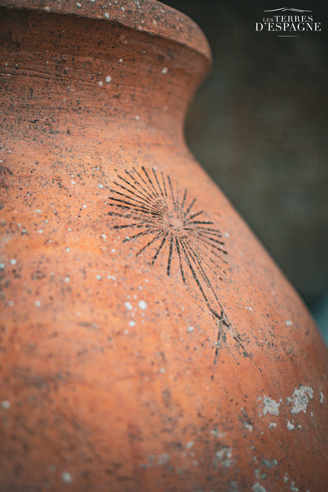 Grande Jarre en Terre Cuite Ancienne 130cm x 70cm - Monumentale - Les Terres d'Espagne (7) Grande Jarre en Terre Cuite Ancienne 130cm x 70cm - Monumentale - Les Terres d'Espagne