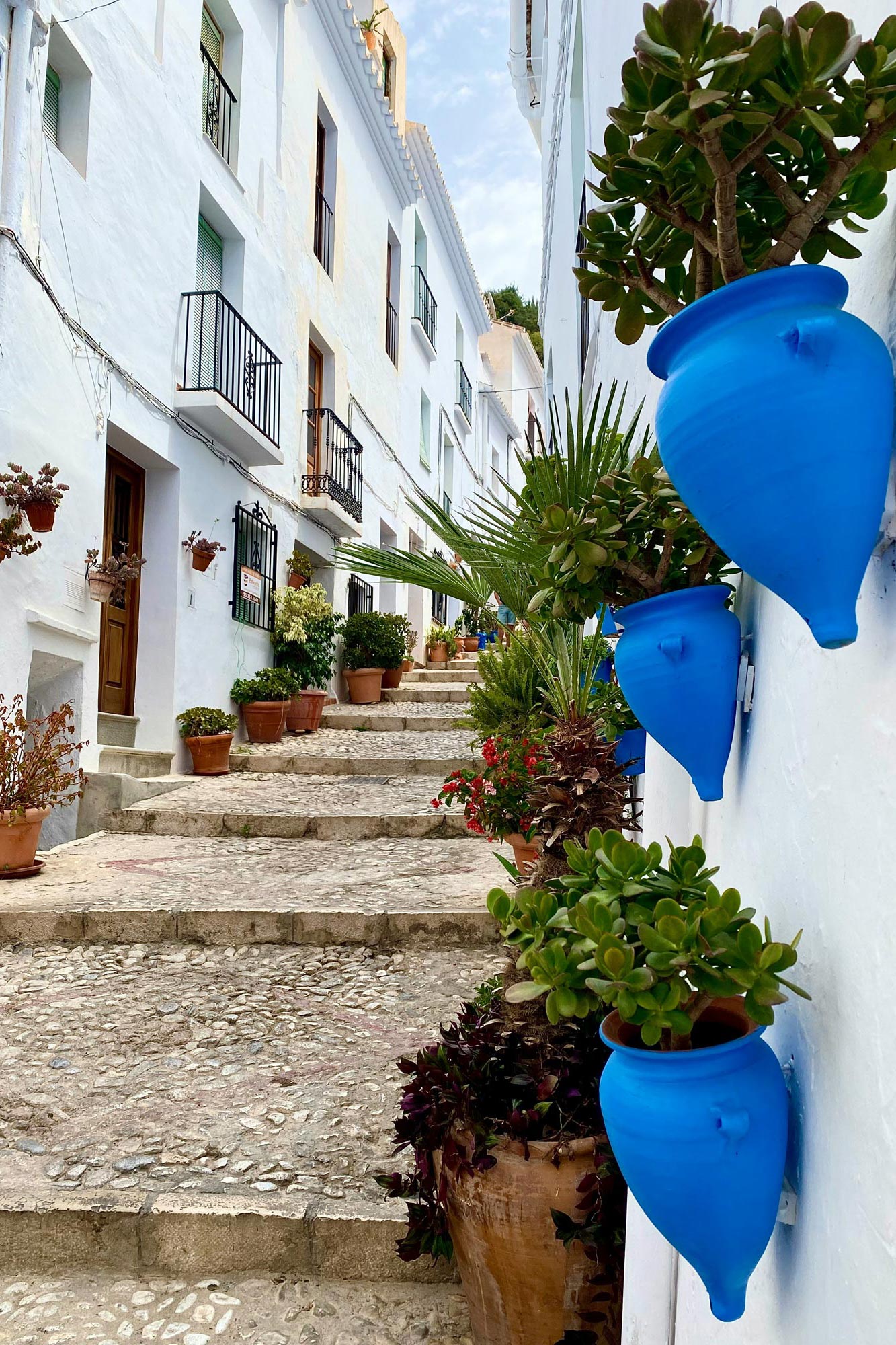 Région Andalousie - Les Terres d'Espagne